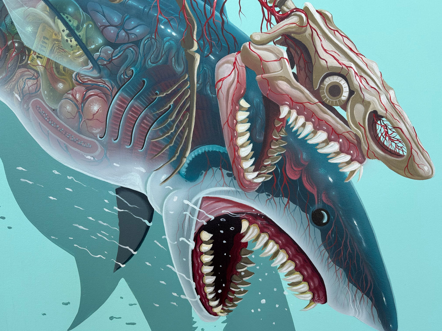Selachimorpha by Nychos