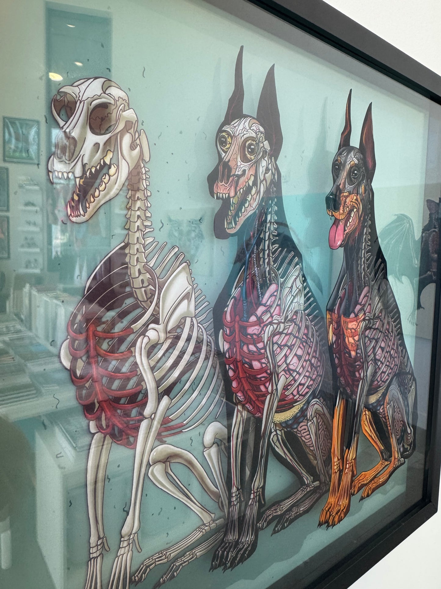 Doberman by Nychos