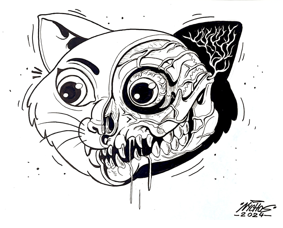 Kitty Head Anatomy by Nychos