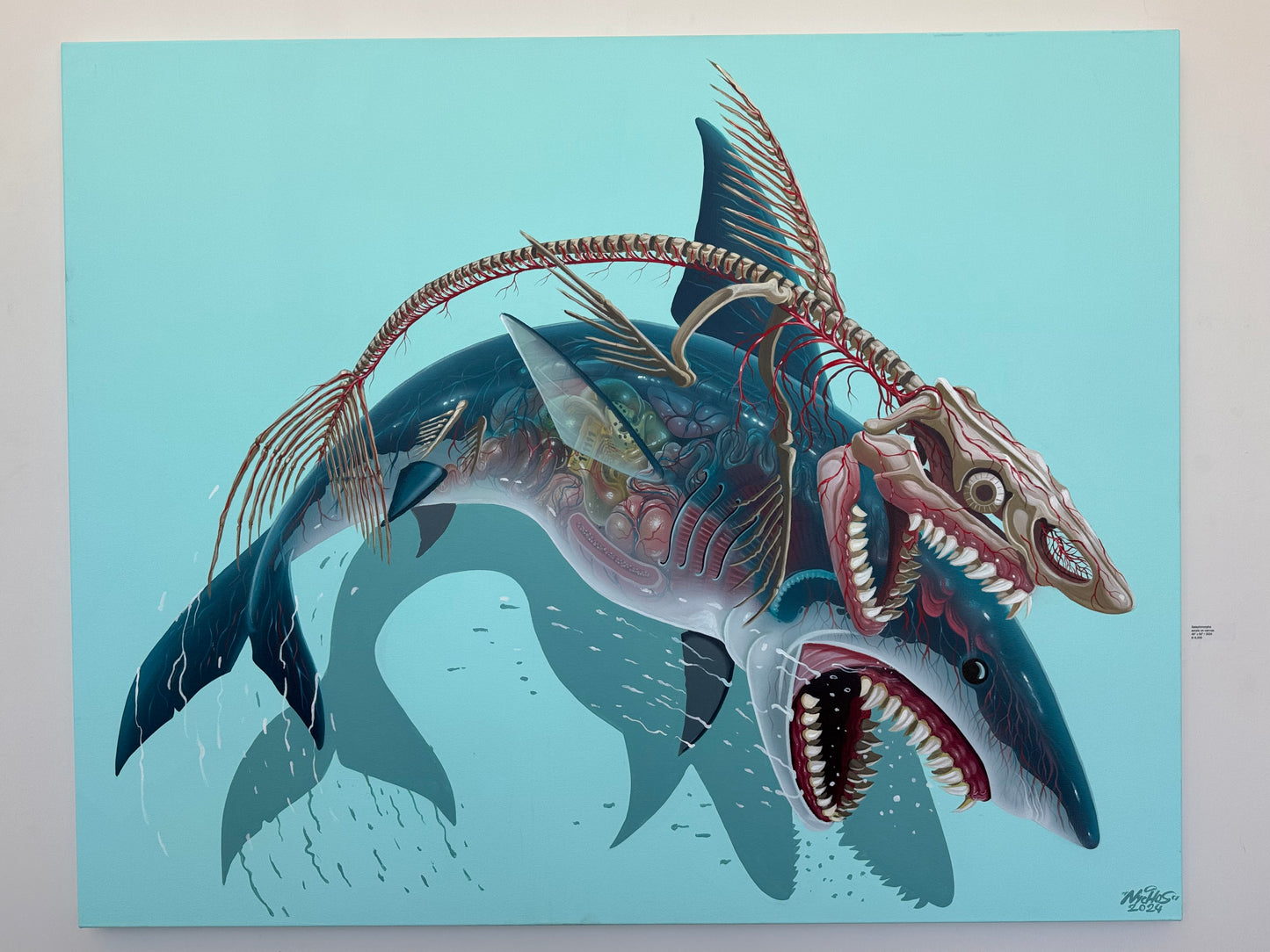 Selachimorpha by Nychos