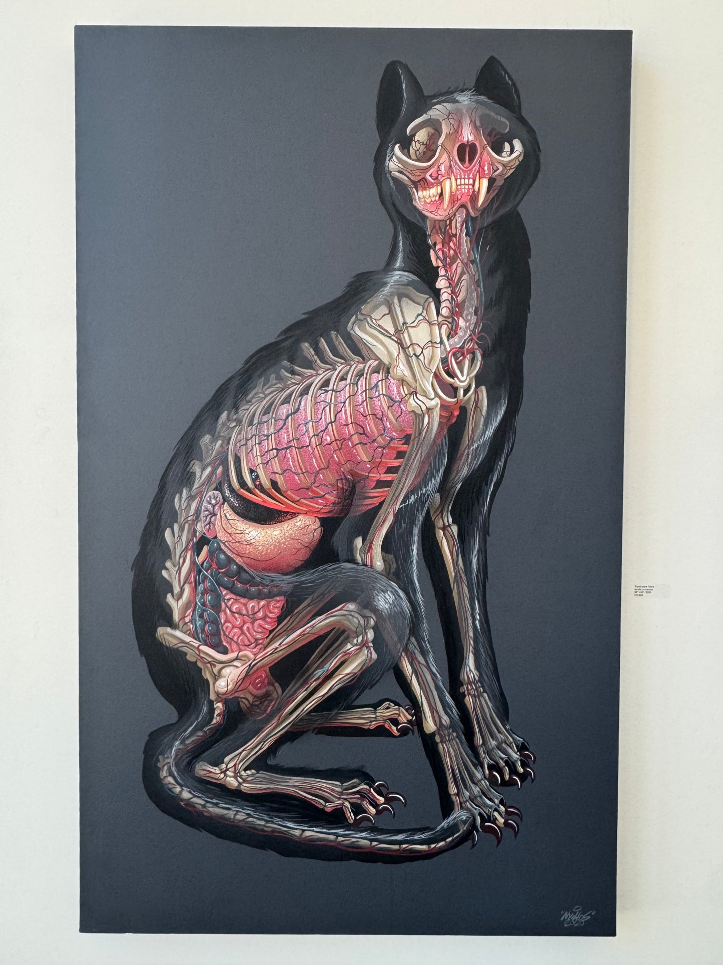 Translucent Feline by Nychos