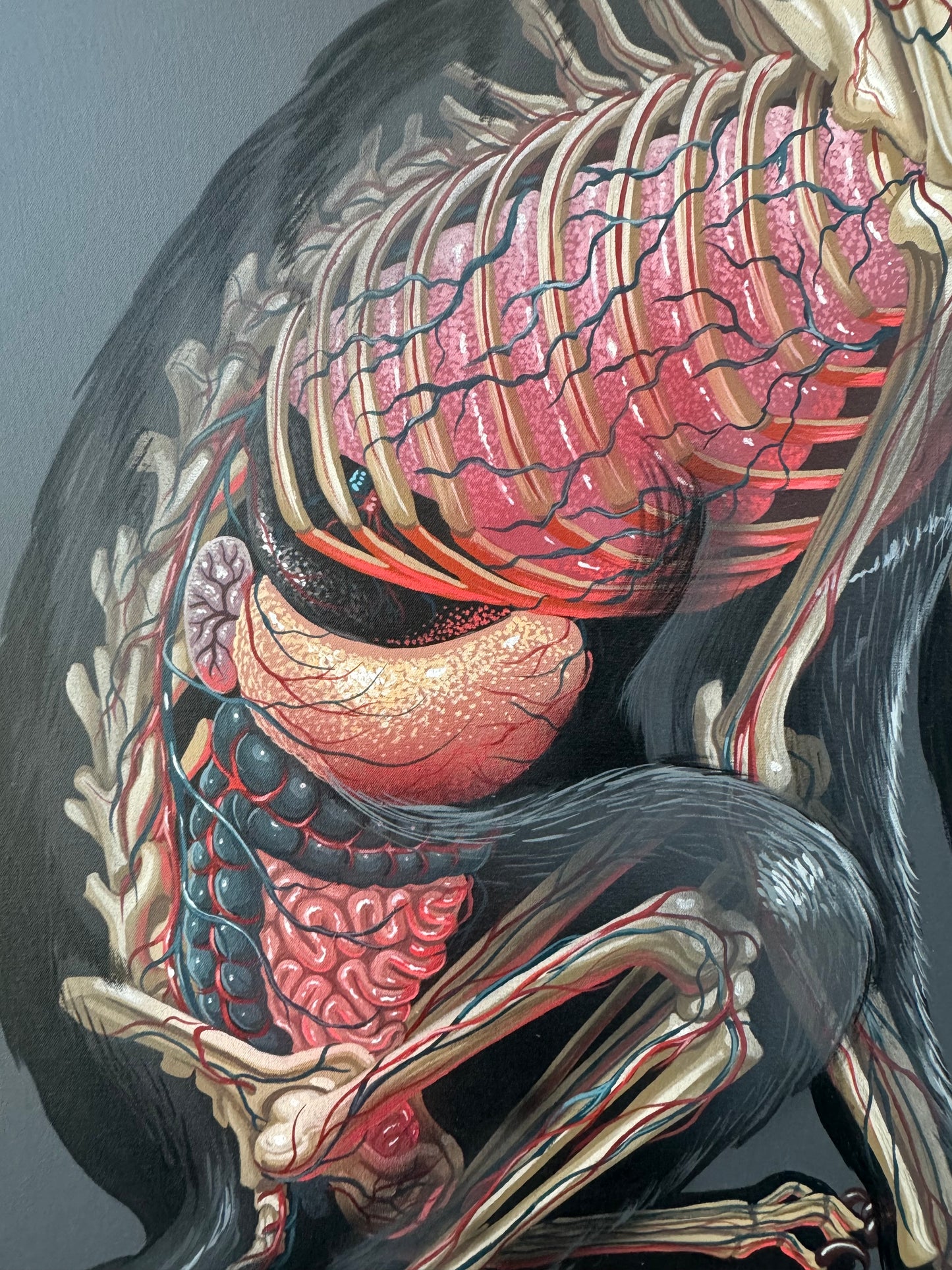 Translucent Feline by Nychos