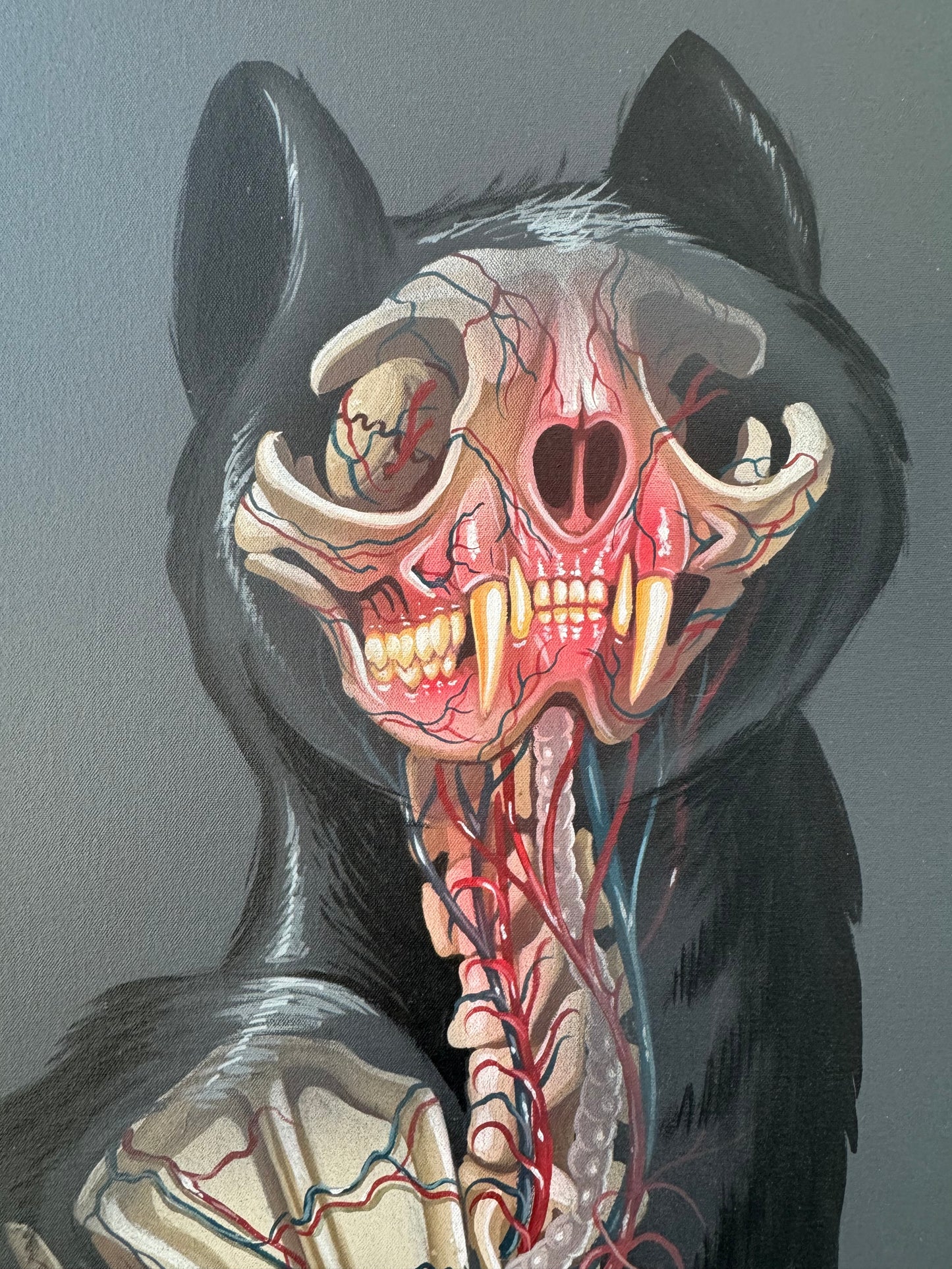 Translucent Feline by Nychos