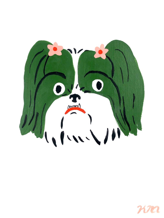 Kristina Micotti Pretty Shih Tzu